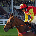 Martin Bosley: A Professional Racing Career