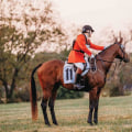 Retirement and Current Endeavors: The Story of Martin Bosley Racing