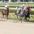 Rule Changes and Controversies in Martin Bosley Racing