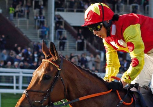 Post-Race Celebrations: A Guide to Racing Events and Martin Bosley's Career