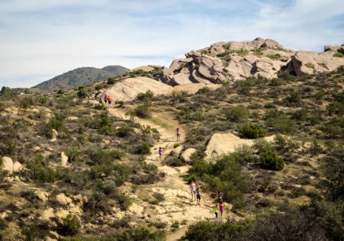 A Comprehensive Look at Course Details and Elevation Profile in Racing