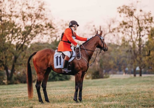 Retirement and Current Endeavors: The Story of Martin Bosley Racing