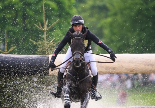 Covering the Exciting World of Racing: A Profile on Martin Bosley and His Awards and Accolades